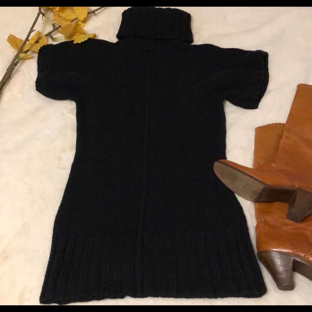 Anthropologie Guinevere sweater dress or top